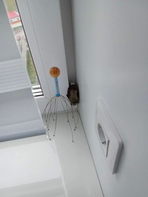 � �������� �������� �� ������� �������� ������� ����
