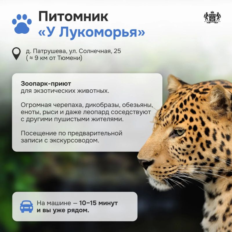 Природа и животные: лучшие места рядом с Тюменью Природа и животные: лучшие места рядом с Тюменью