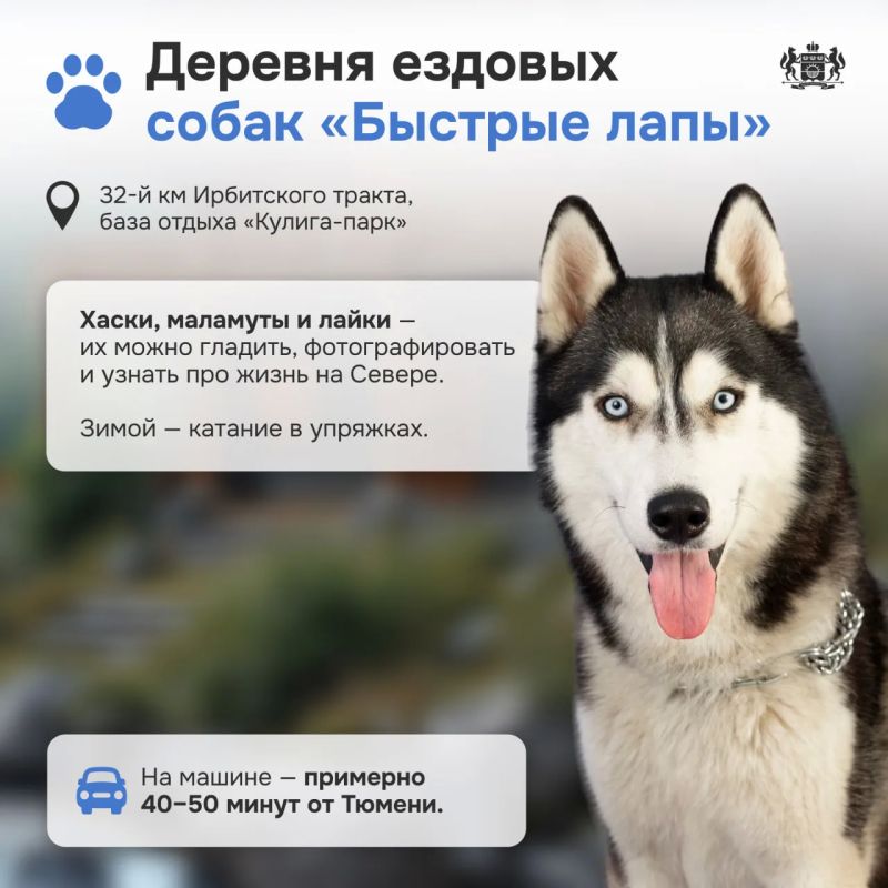 Природа и животные: лучшие места рядом с Тюменью Природа и животные: лучшие места рядом с Тюменью