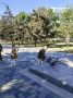 � ���������� ������� ���� ��������� 9 ��� �� ������� � �������