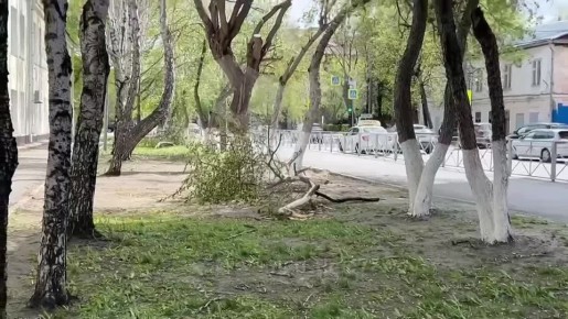 Тюменцы делятся кадрами ветреной погоды