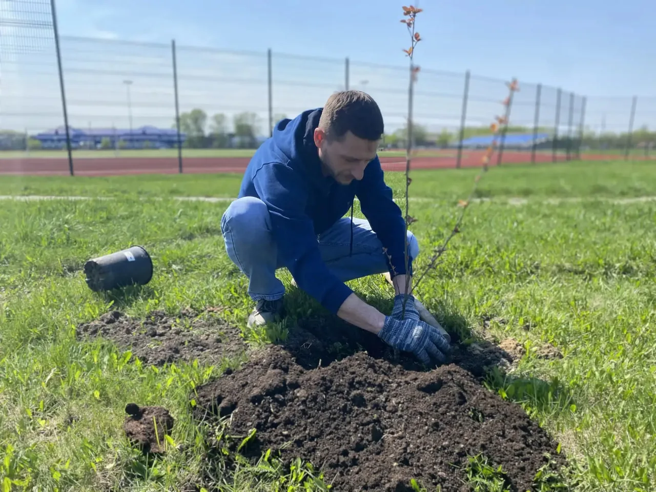 В Сорокинском округе создают аллею "Дерево мира" В Сорокинском округе создают аллею "Дерево мира"