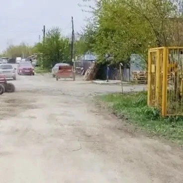 Сильный ветер немного испортил утреннее послепраздничное настроение Сильный ветер немного испортил утреннее послепраздничное настроение
