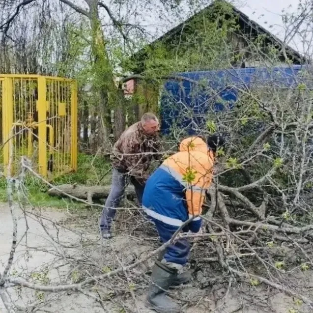 Сильный ветер немного испортил утреннее послепраздничное настроение