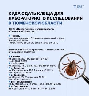 ��� ������ ��� ����� �����: ���������� �� ���