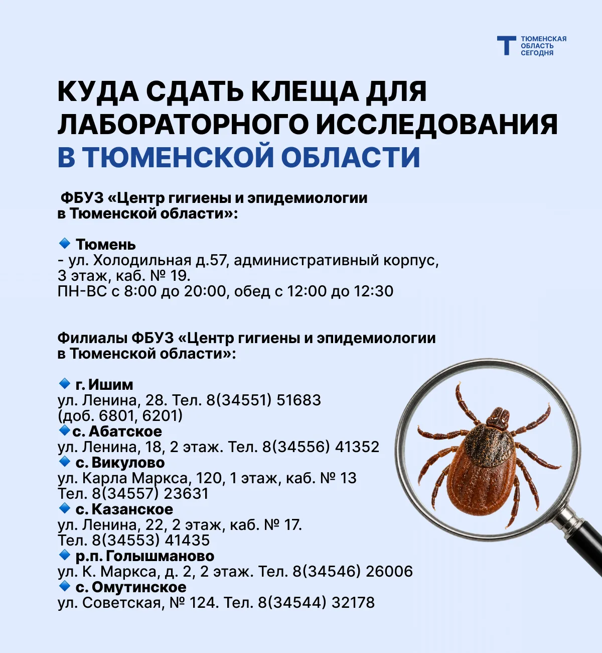 Что делать при укусе клеща: инструкция от МЧС