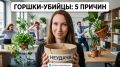 ������ ���������� ������ ��� �������� ����� ��������� ������ �������� ������