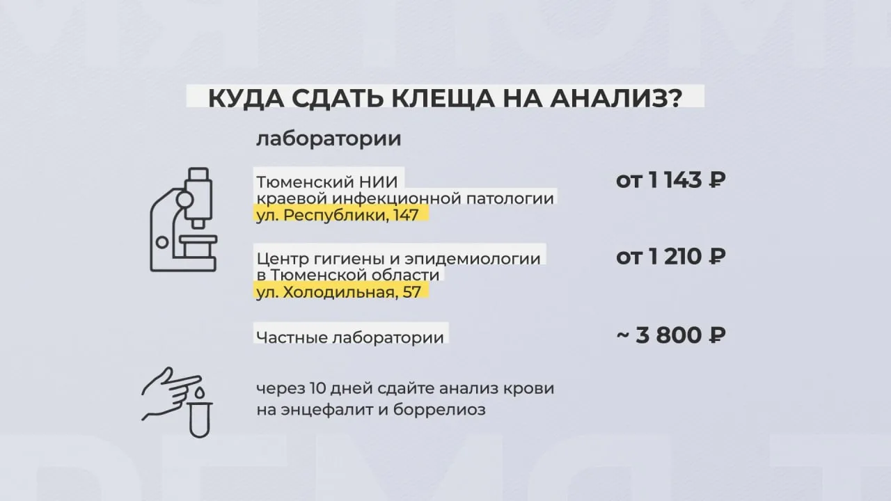 Тюменская область вошла в список регионов с высоким риском заражения клещевым энцефалитом, сообщили в Роспотребнадзоре Тюменская область вошла в список регионов с высоким риском заражения клещевым энцефалитом, сообщили в Роспотребнадзоре