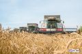 Тюменское молоко и сыр выходят на новый уровень — продукцию уже отправляют в 21 страну