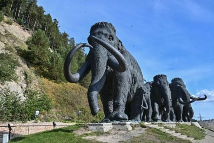 Путешествие в сердце традиций коренных народов Севера организуют в Тюмени