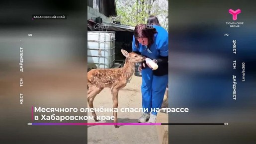 � ����� ������ ��������, 16 ������ ���� � ���� ������ � �������, ������� ����� ������ ��������� ����� �� �����