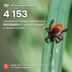 ����� �������� 4 153 ������ ��������� �������