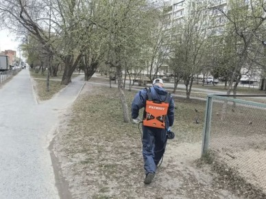В Центральном округе Тюмени активно ведется противоклещевая обработка и контроль ее качества