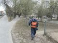 В Центральном округе Тюмени активно ведется противоклещевая обработка и контроль ее качества
