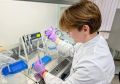 Тюменские ученые обнаружили в вечной мерзлоте новый вид живого хищного микроорганизма