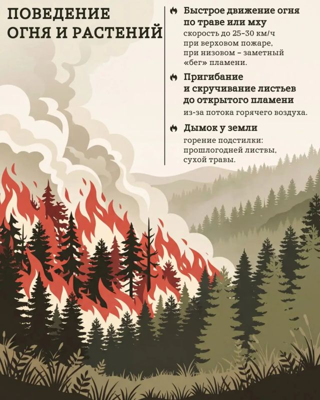 Заметили огонь? Не теряйте ни минуты! Заметили огонь? Не теряйте ни минуты!