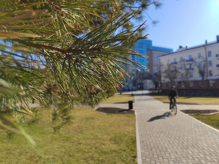 Порывистый ветер до 18 м/с ожидается на территории Тюменской области 19 мая, сообщает РСЧС Тюменской области
