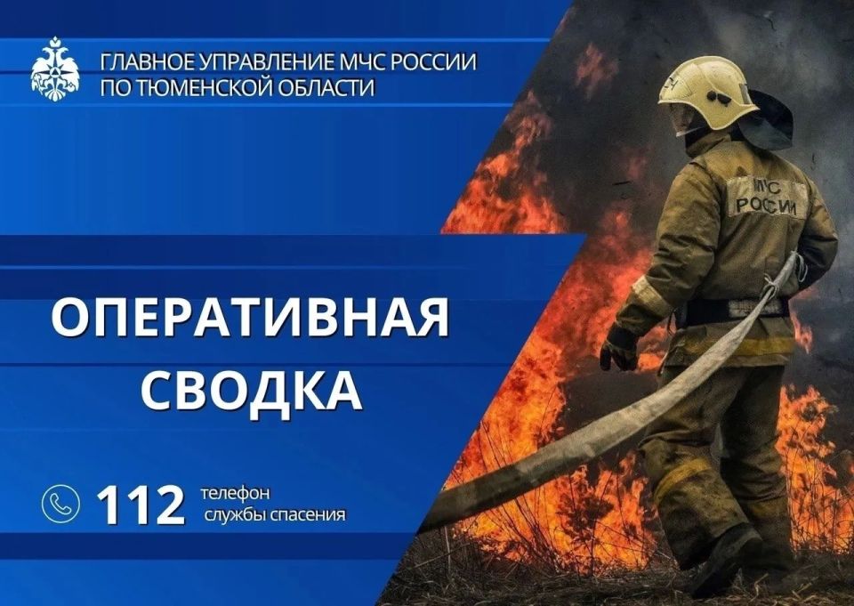 За минувшие сутки в Тюменской области: