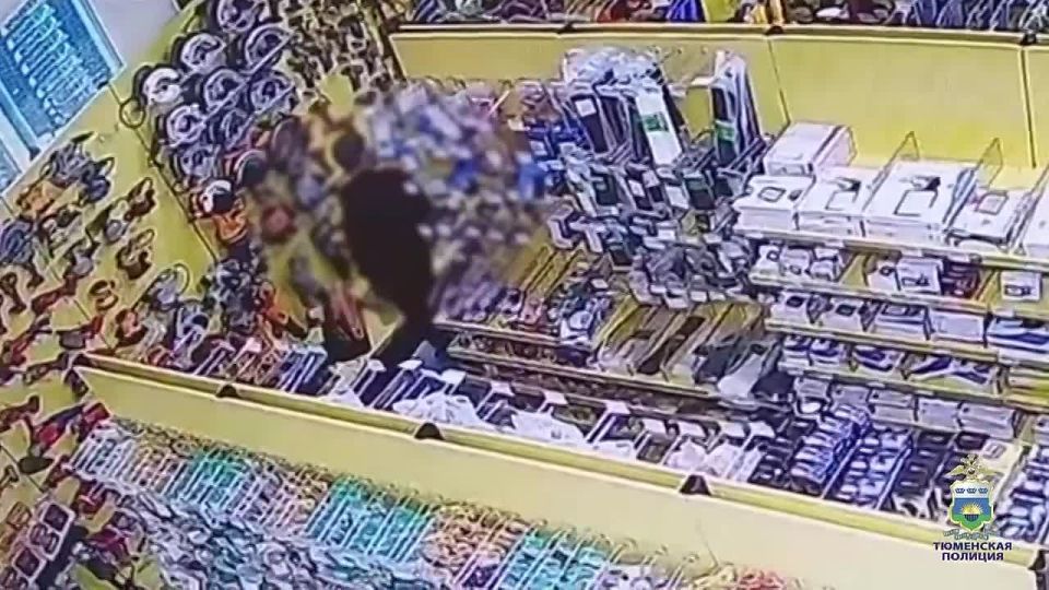 В дежурную часть полиции Тюменского муниципального округа обратился работник магазина по продаже строительных товаров, расположенного в деревне Ожогино, который сообщил о краже инструмента, стоимостью около 12 тысяч рублей