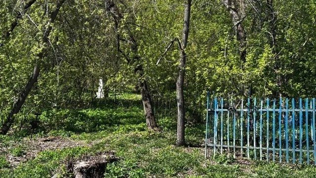 Текутьевское кладбище: каковы планы его реставрации?