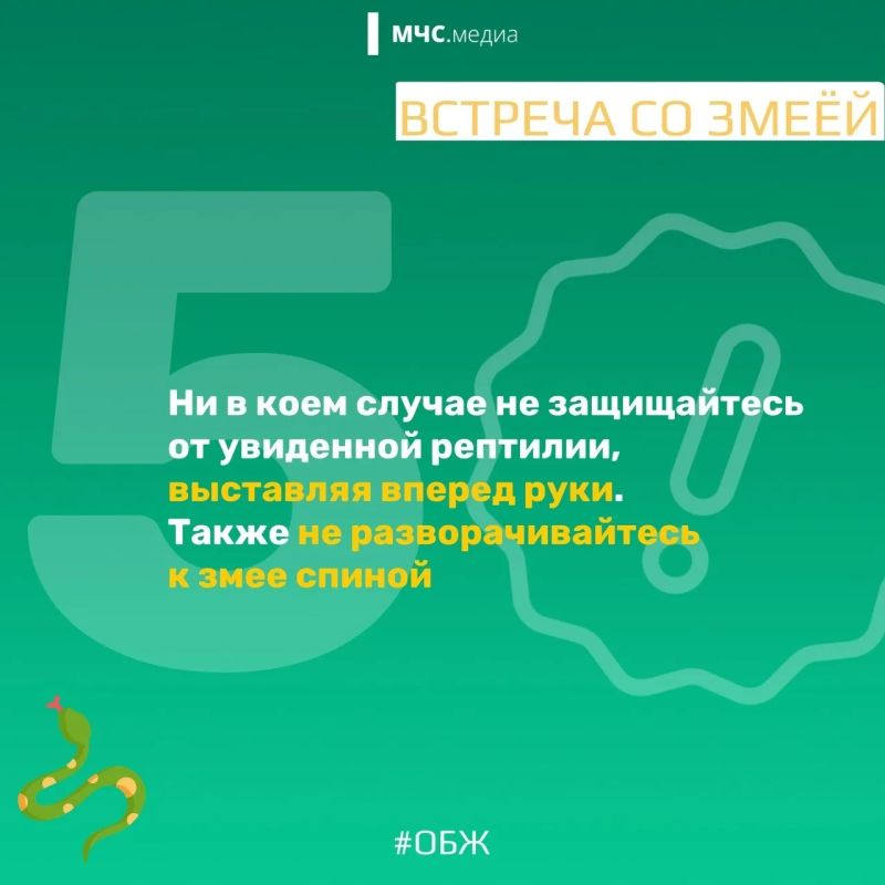 МЧС России напоминает о правилах безопасности в период активности змей: МЧС России напоминает о правилах безопасности в период активности змей: