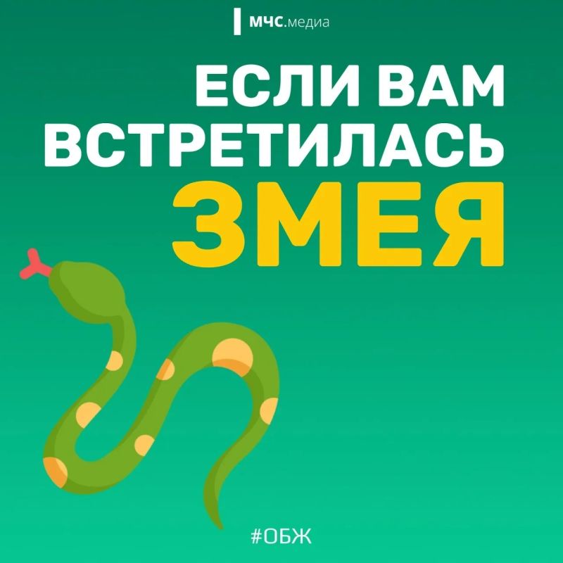 МЧС России напоминает о правилах безопасности в период активности змей: