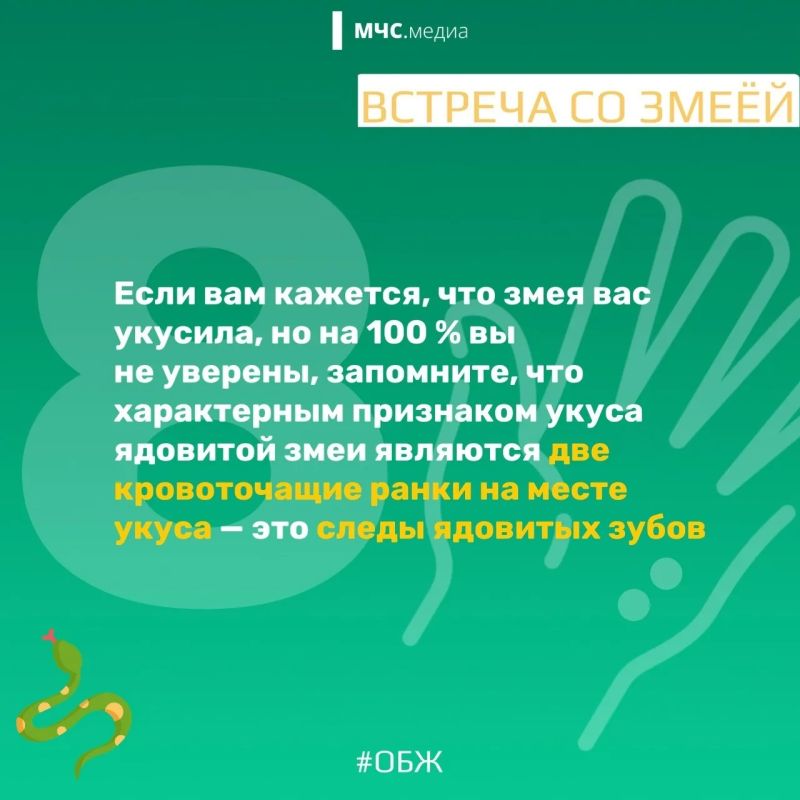 МЧС России напоминает о правилах безопасности в период активности змей: МЧС России напоминает о правилах безопасности в период активности змей: