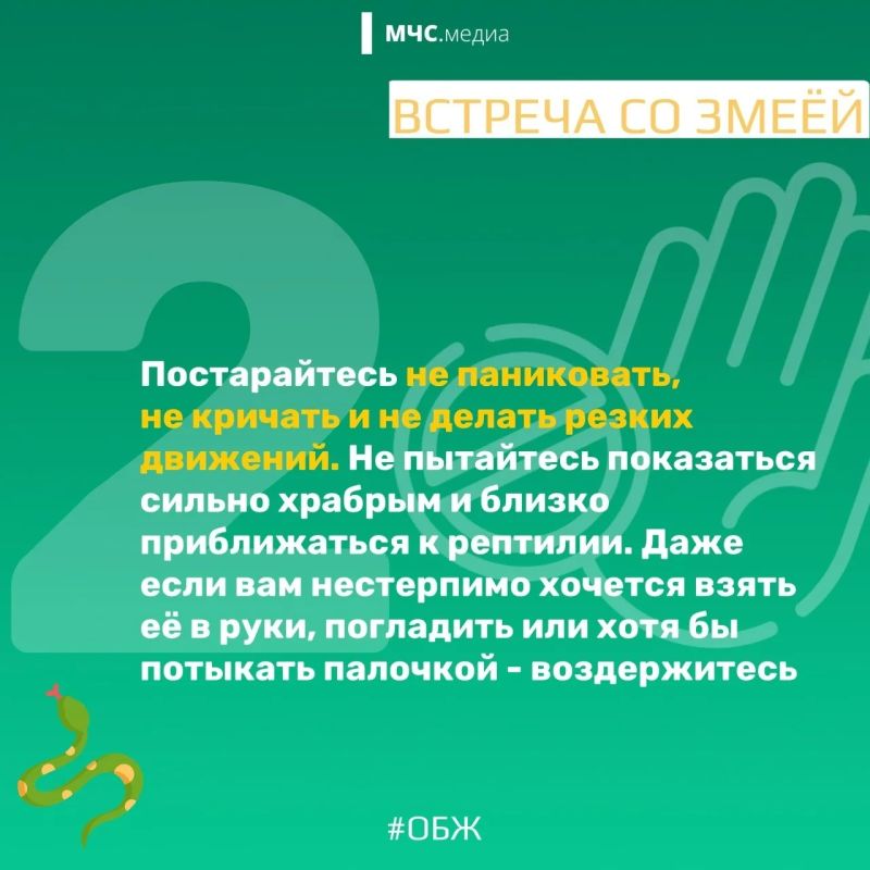 МЧС России напоминает о правилах безопасности в период активности змей: МЧС России напоминает о правилах безопасности в период активности змей: