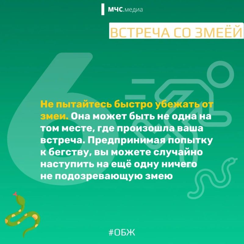 МЧС России напоминает о правилах безопасности в период активности змей: МЧС России напоминает о правилах безопасности в период активности змей: