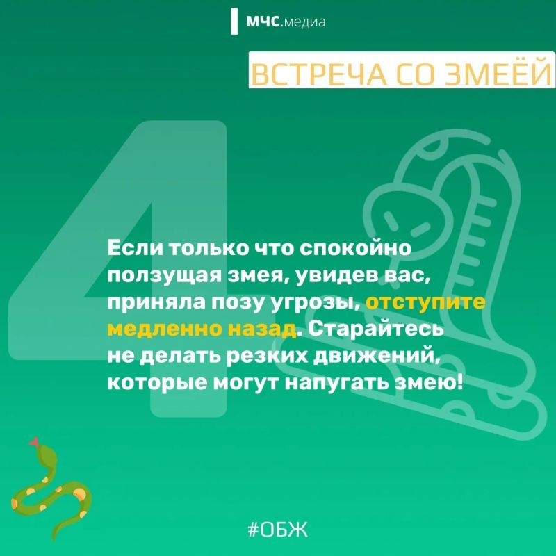 МЧС России напоминает о правилах безопасности в период активности змей: МЧС России напоминает о правилах безопасности в период активности змей: