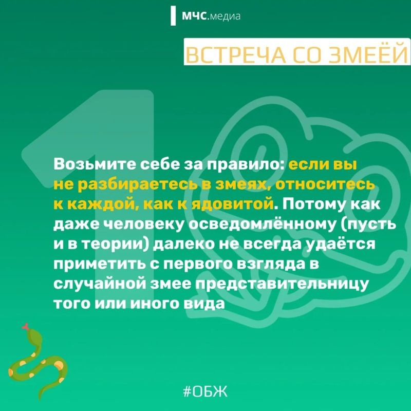 МЧС России напоминает о правилах безопасности в период активности змей: МЧС России напоминает о правилах безопасности в период активности змей: