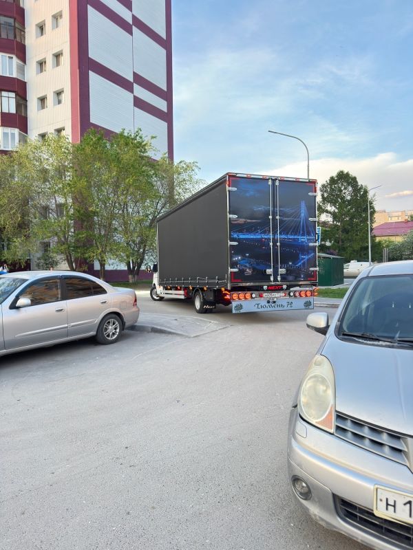 В сети начали обсуждать необычную «Газель» с принтом моста Влюбленных