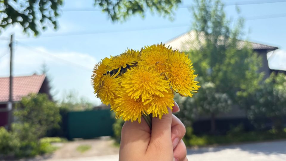 Город утонул в цветах Город утонул в цветах