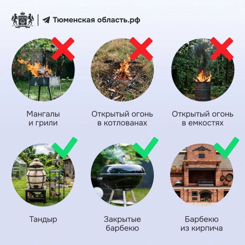 Поесть шашлык и не получить штраф?