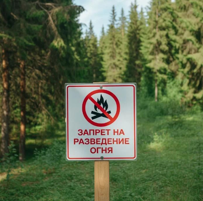 В лесах действует особый противопожарный режим