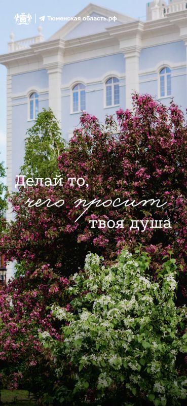 Весна теперь всегда с вами! Даже на экране телефона Весна теперь всегда с вами! Даже на экране телефона