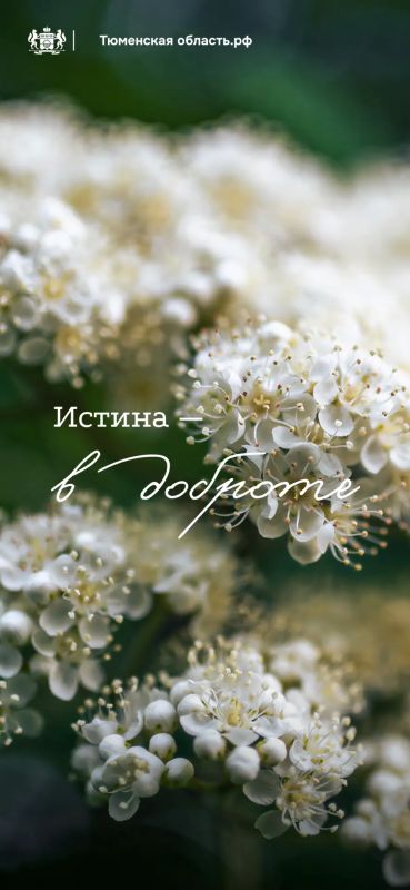 Весна теперь всегда с вами! Даже на экране телефона Весна теперь всегда с вами! Даже на экране телефона