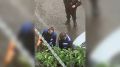 �������� ������ � �������. ������� ������� ����� �� ����� ������ ���������������� ����