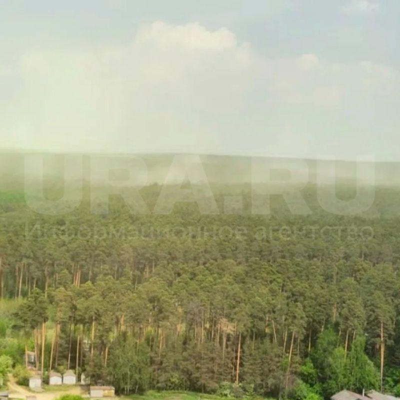 Зеленая буря накрыла Екатеринбург