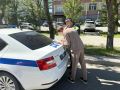 Три протокола сегодня сотрудники Госавтоинспекции составили на 21-летнего «бесправника» на «Ладе»: за управление транспортом, не имея водительского удостоверения, за незаконную тонировку, а также за нарушение правил...