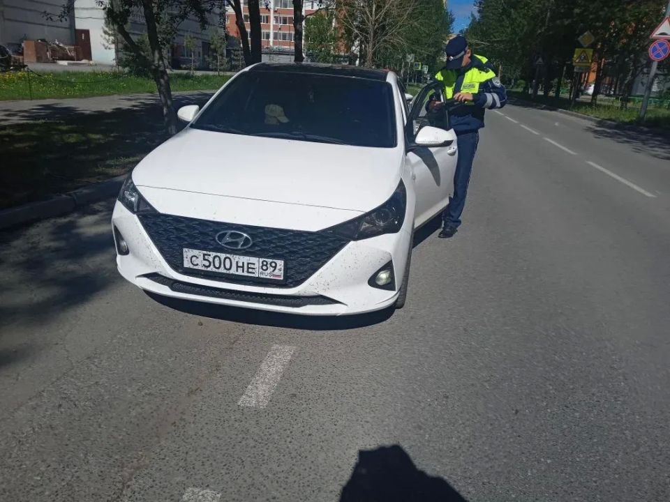 120 тюменских водителей вчера сняли с лобовых и передних боковых стекол автомобилей темную пленку, светопропускаемость которой не соответствует принятым законом нормам 120 тюменских водителей вчера сняли с лобовых и передних боковых стекол автомобилей темную пленку, светопропускаемость которой не соответствует принятым законом нормам