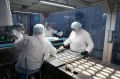 Компания «Логика молока» планирует до 2030 года инвестировать 6,2 млрд рублей в модернизацию и развитие Ялуторовского молочного комбината