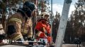 В Тюменской области сейчас нет действующих лесных пожаров
