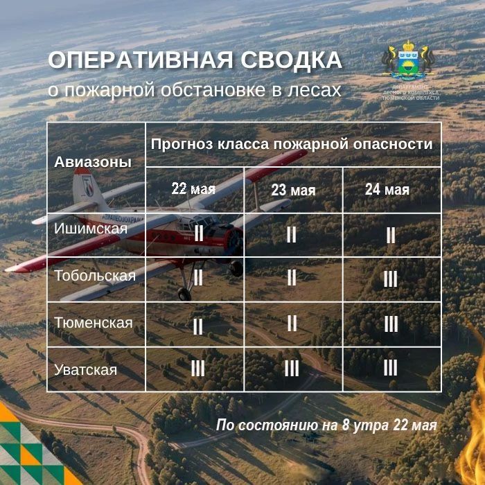 По данным региональной диспетчерской службы, на утро 22 мая в Тюменской области нет действующих лесных пожаров