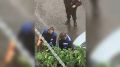 В каком состоянии находится тюменец, которого пырнули ножом во дворе многоквартирного дома?