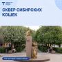 Каким станет Сквер Сибирских кошек в 2027 году?
