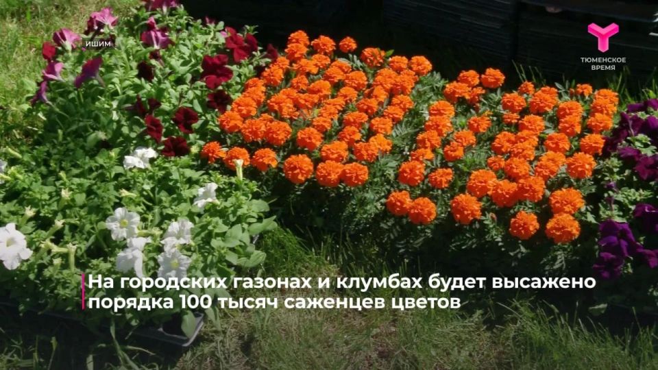 В Ишиме начались работы по сезонному озеленению