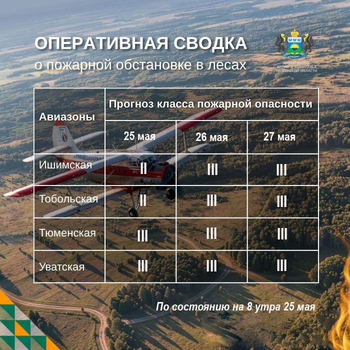 По данным региональной диспетчерской службы, на утро 25 мая в Тюменской области нет действующих лесных пожаров