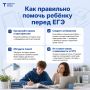 ЕГЭ без стресса: как поддержать ребенка и не стать его главным врагом