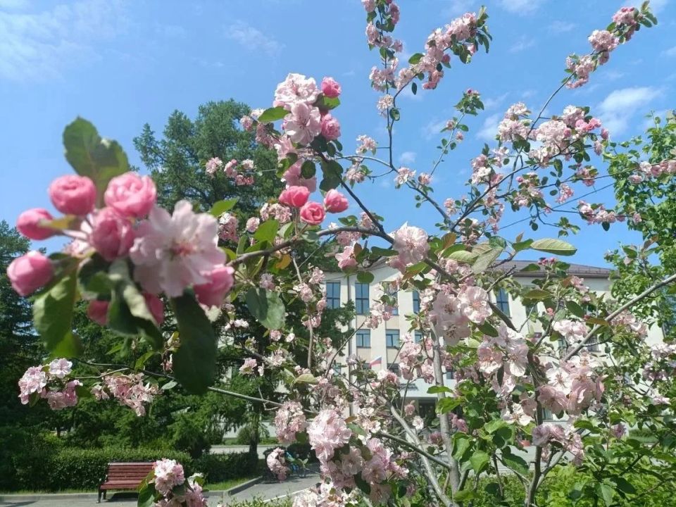 Последняя неделя мая! Любуемся весенними красотами Тюмени